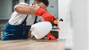 Best Pest Control for Multi-Family Homes  in Cass City, MI